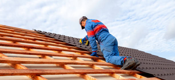 Best Roof Insulation Installation  in Blackhawk, SD